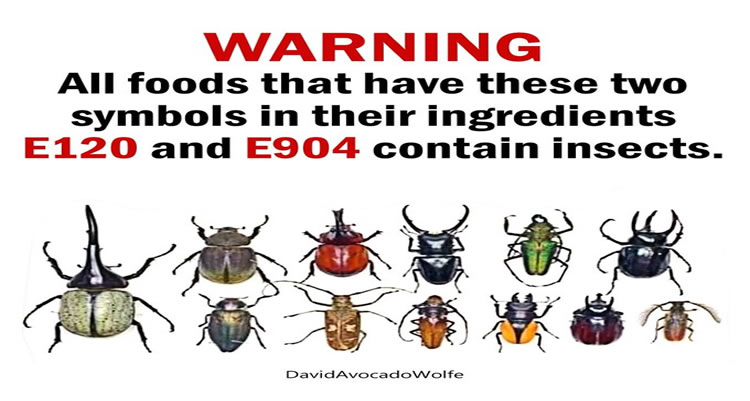 E120 ve E904 Kodlu Hazır Paketli Gıdalarda Böcek Var